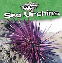 Cover image for Sea Urchins