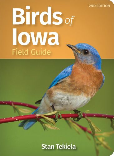 Cover image for Birds of Iowa Field Guide