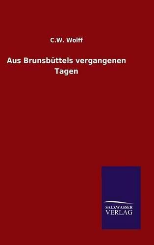 Cover image for Aus Brunsbuttels vergangenen Tagen