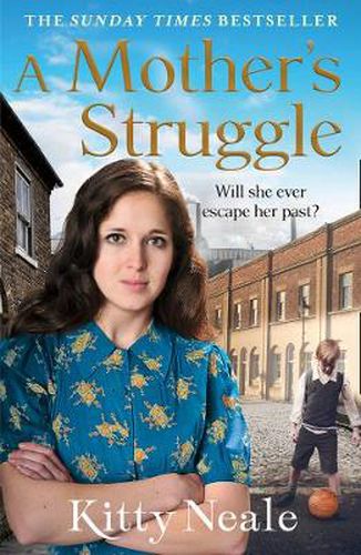 Cover image for A Mother's Struggle