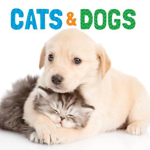 Cover image for Cats & Dogs