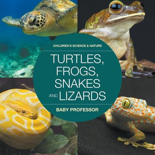 Cover image for Turtles, Frogs, Snakes and Lizards Children's Science & Nature