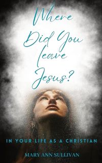 Cover image for Where Did You Leave Jesus?