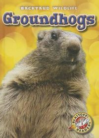 Cover image for Groundhogs