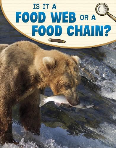 Cover image for Is It a Food Web or a Food Chain?