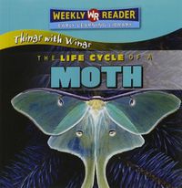 Cover image for The Life Cycle of a Moth