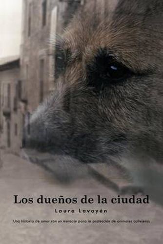 Cover image for Los Duenos de La Ciudad