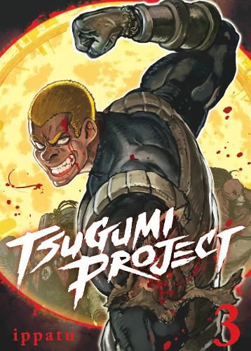 Cover image for Tsugumi Project 3