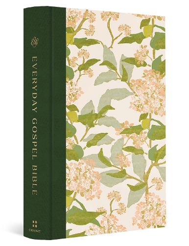 Cover image for ESV Everyday Gospel Bible, Artist Series