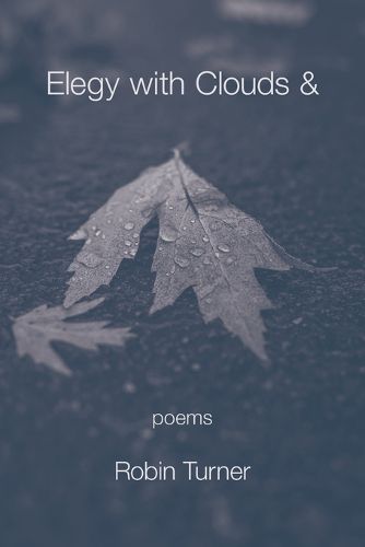 Cover image for Elegy with Clouds &