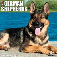 Cover image for Just German Shepherds 2025 12 X 12 Wall Calendar