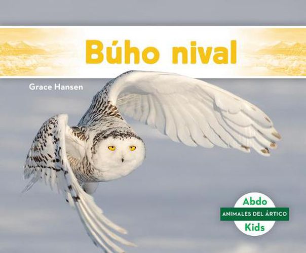 Cover image for Buho Nival (Snowy Owl)
