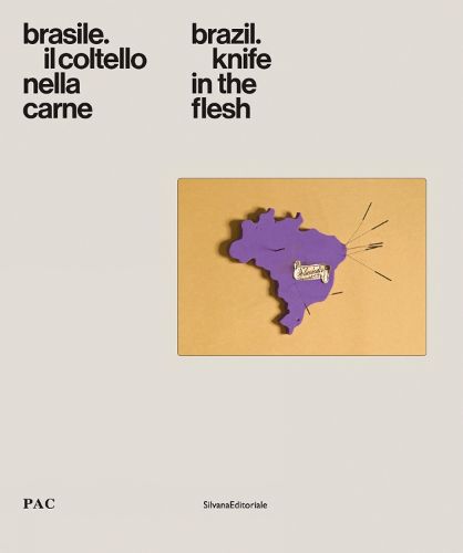 Cover image for Brazil: Knife in the Flesh