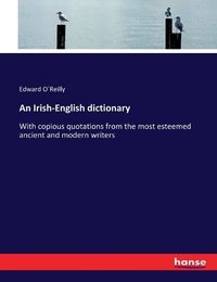 Cover image for An Irish-English dictionary