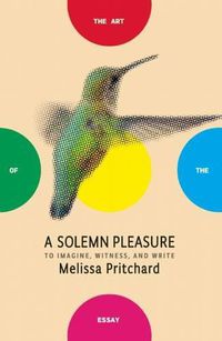 Cover image for A Solemn Pleasure: To Imagine, Witness, and Write