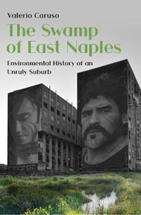 Cover image for The Swamp of East Naples: Environmental History of an Unruly Suburb