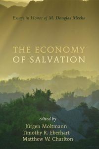 Cover image for The Economy of Salvation: Essays in Honor of M. Douglas Meeks