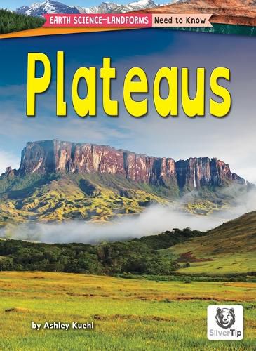 Cover image for Plateaus