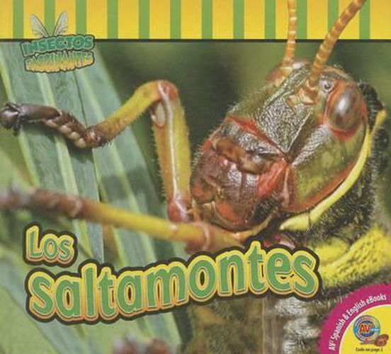 Cover image for Los Saltamontes