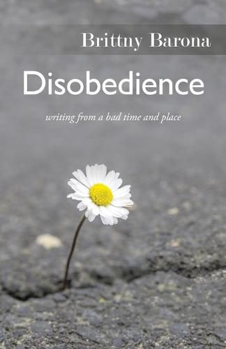 Cover image for Disobedience