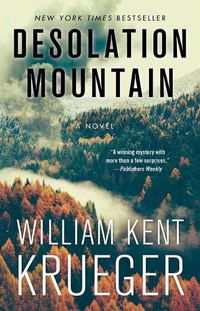 Cover image for Desolation Mountain: A Novelvolume 17