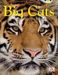 Cover image for BC NF Brown B/3B Big Cats
