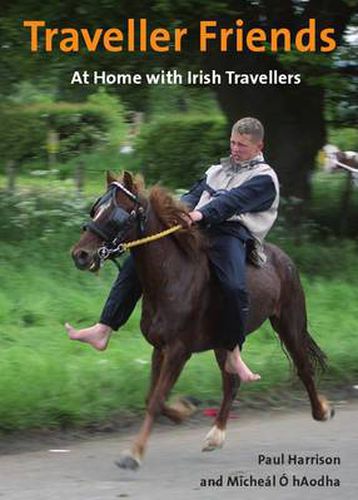 Cover image for Traveller Friends