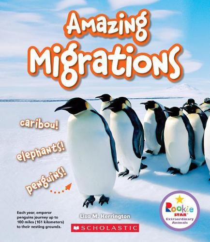 Cover image for Amazing Migrations: Caribou! Elephants! Penguins! (Rookie Star: Extraordinary Animals) (Library Edition)