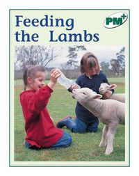 Cover image for Feeding the Lambs