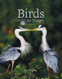 Cover image for Birds