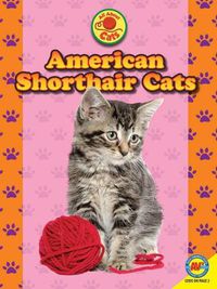 Cover image for American Shorthair Cats