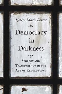 Cover image for Democracy in Darkness