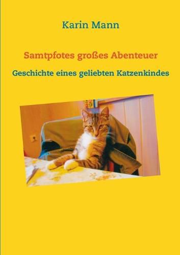 Cover image for Samtpfotes grosses Abenteuer: Geschichte eines geliebten Katzenkindes