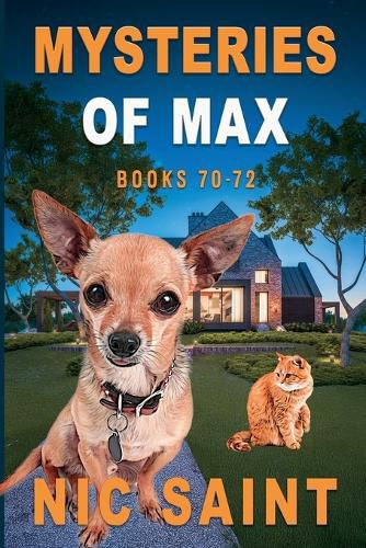 Cover image for Mysteries of Max