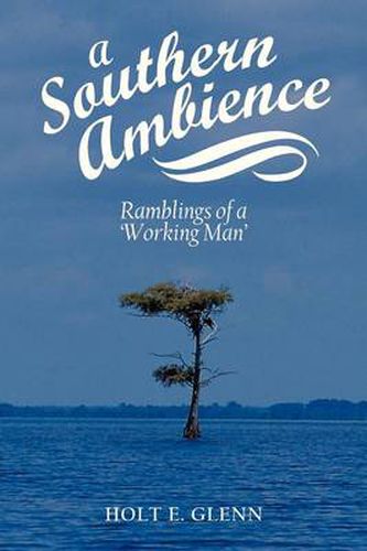 Cover image for A Southern Ambience