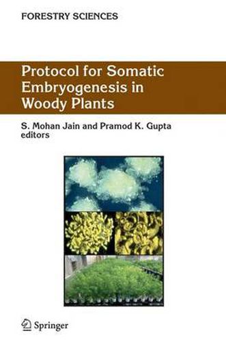 Cover image for Protocol for Somatic Embryogenesis in Woody Plants