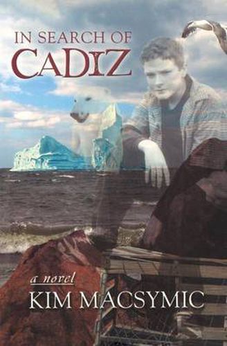 Cover image for In Search of Cadiz
