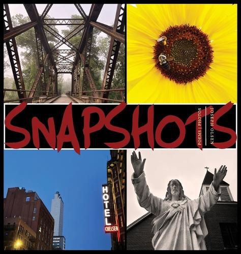 Cover image for Snapshots