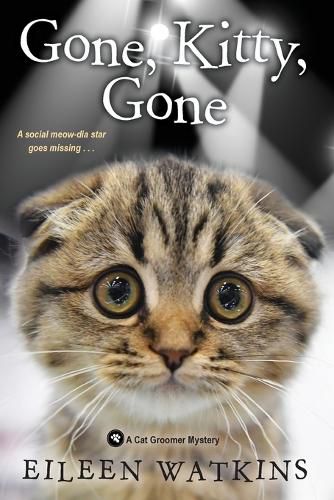 Cover image for Gone, Kitty, Gone