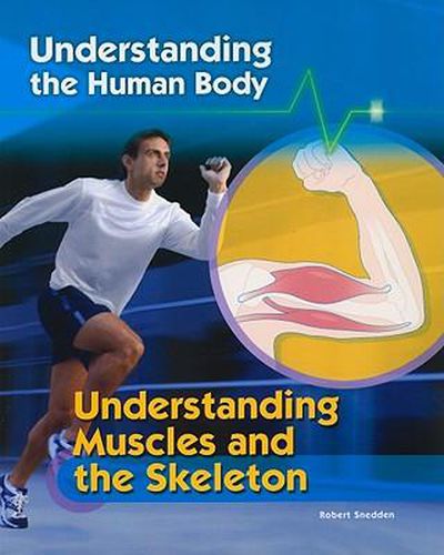 Cover image for Understanding Muscles and the Skeleton