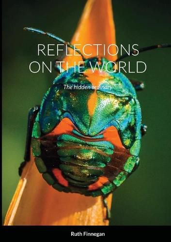 Reflections on the World