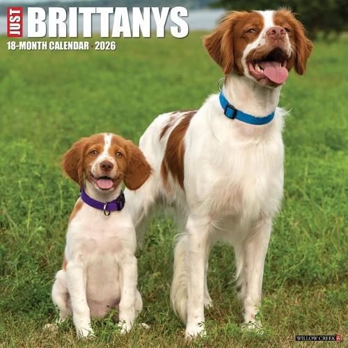 Cover image for Brittanys 2026 12 X 12 Wall Calendar
