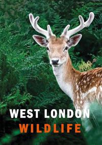 Cover image for West London Wildlife