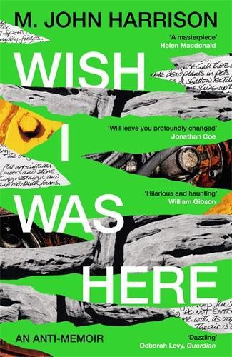 Cover image for Wish I Was Here