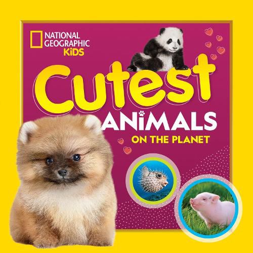 Cover image for Cutest Animals on the Planet