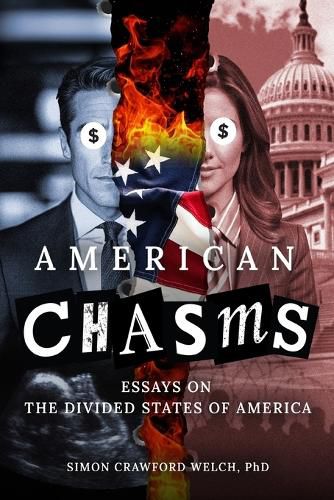 Cover image for American Chasms