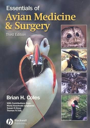 Cover image for Essentials of Avian Medicine and Surgery