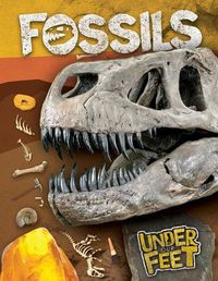 Cover image for Fossils