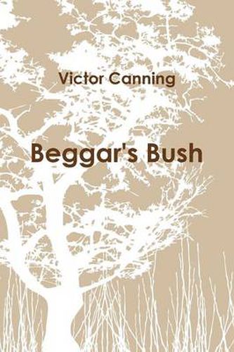 Cover image for Beggar's Bush (Pb)