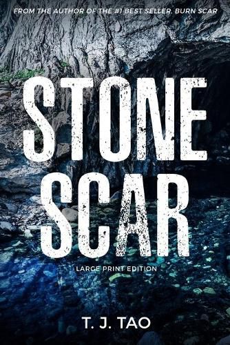 Cover image for Stone Scar: Angeline & Augustine Book #1 Large Print Edition